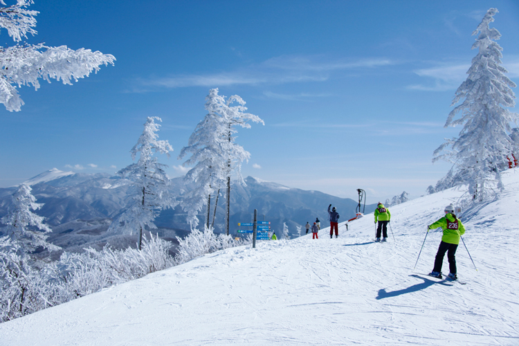 菅平高原スノーリゾート