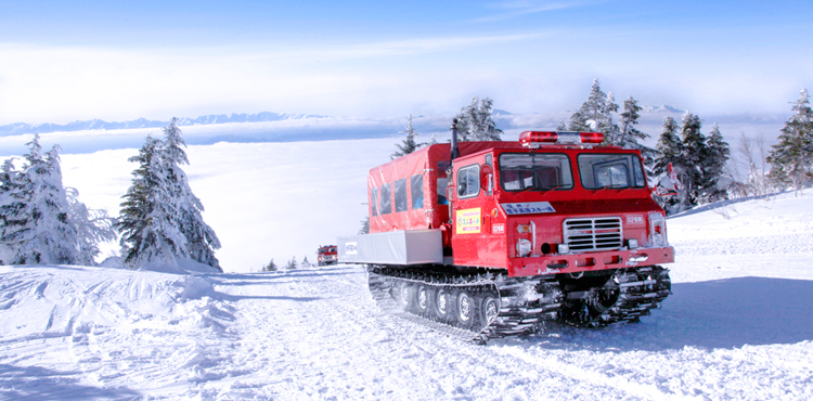 スノーキャット